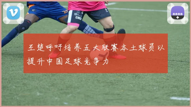 王楚呼吁培养五大联赛本土球员以提升中国足球竞争力